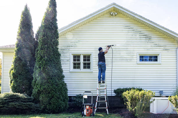Best Roof Power Washing Services  in Lakeview, MI