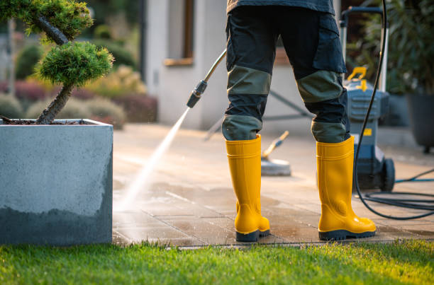 Best Concrete Pressure Washing  in Lakeview, MI